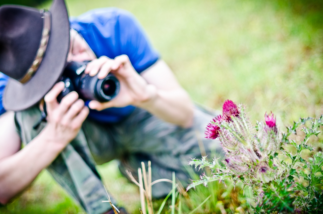 Nikon D3100 and Spring Thistle Weed