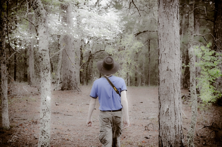 Photowalk in the Woods