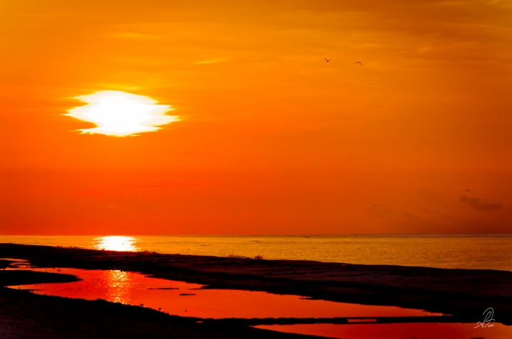 Sun Rise on St George Island, FL