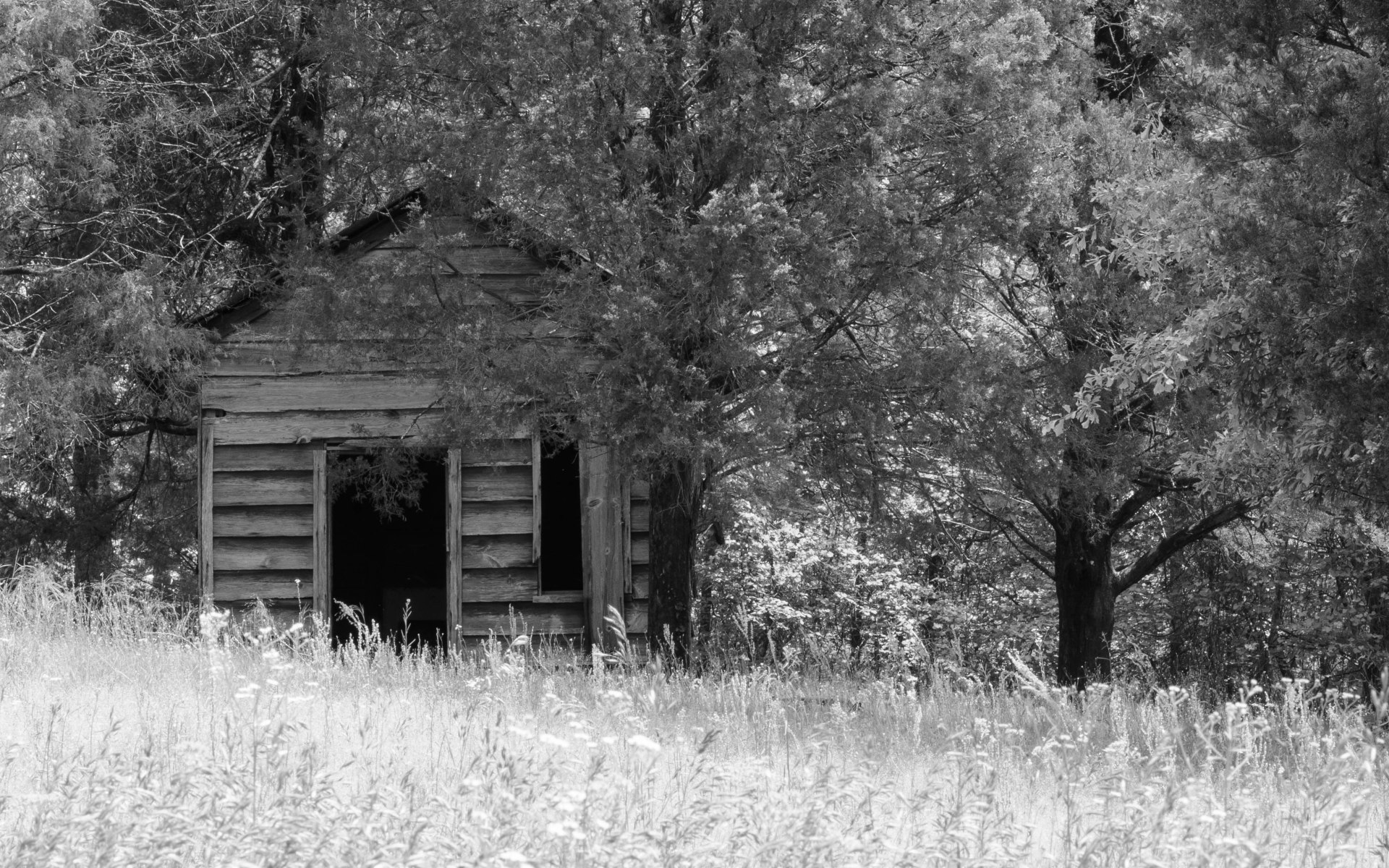 Rural Decay Structure 1.100