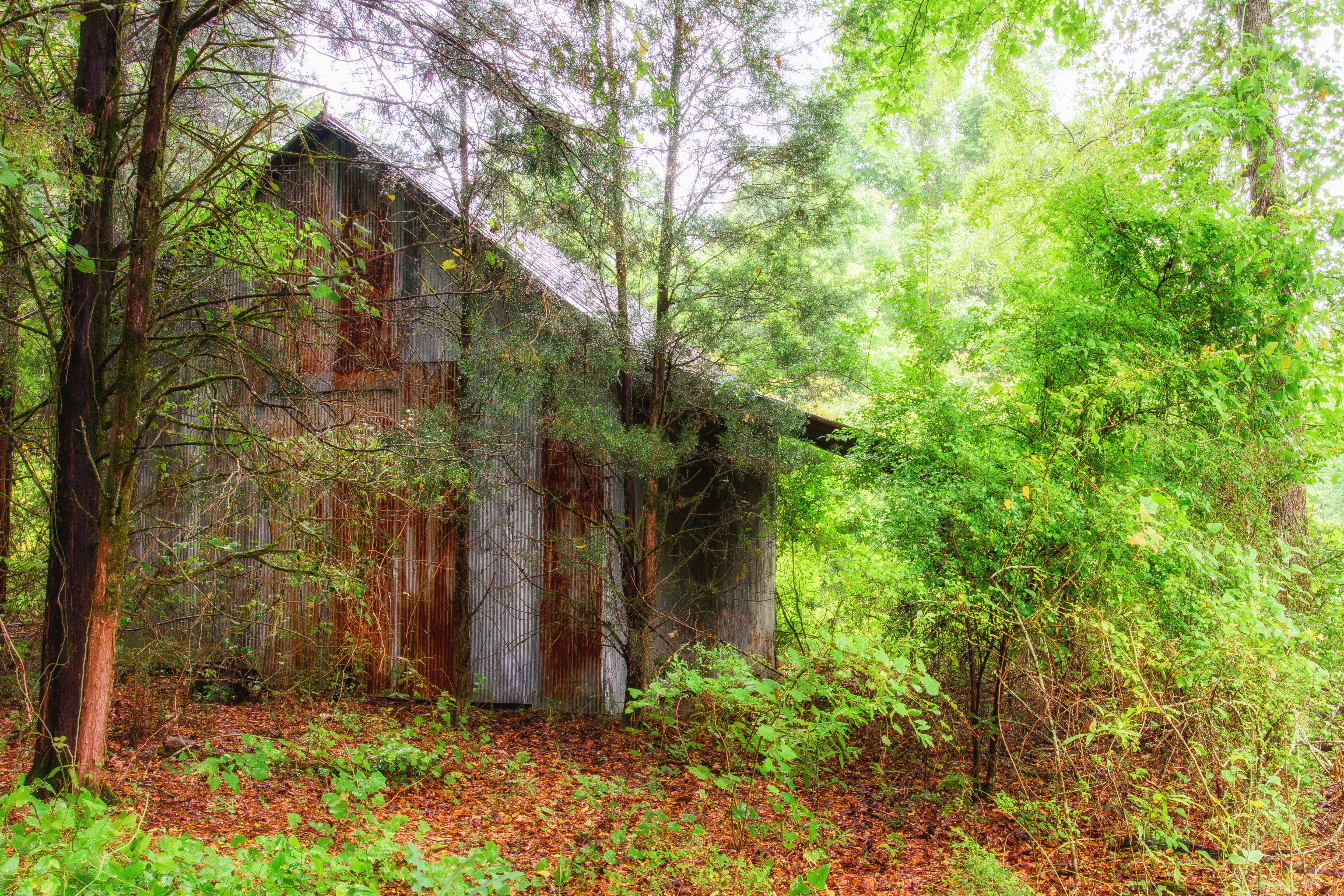 Rural Decay Structure 1.166