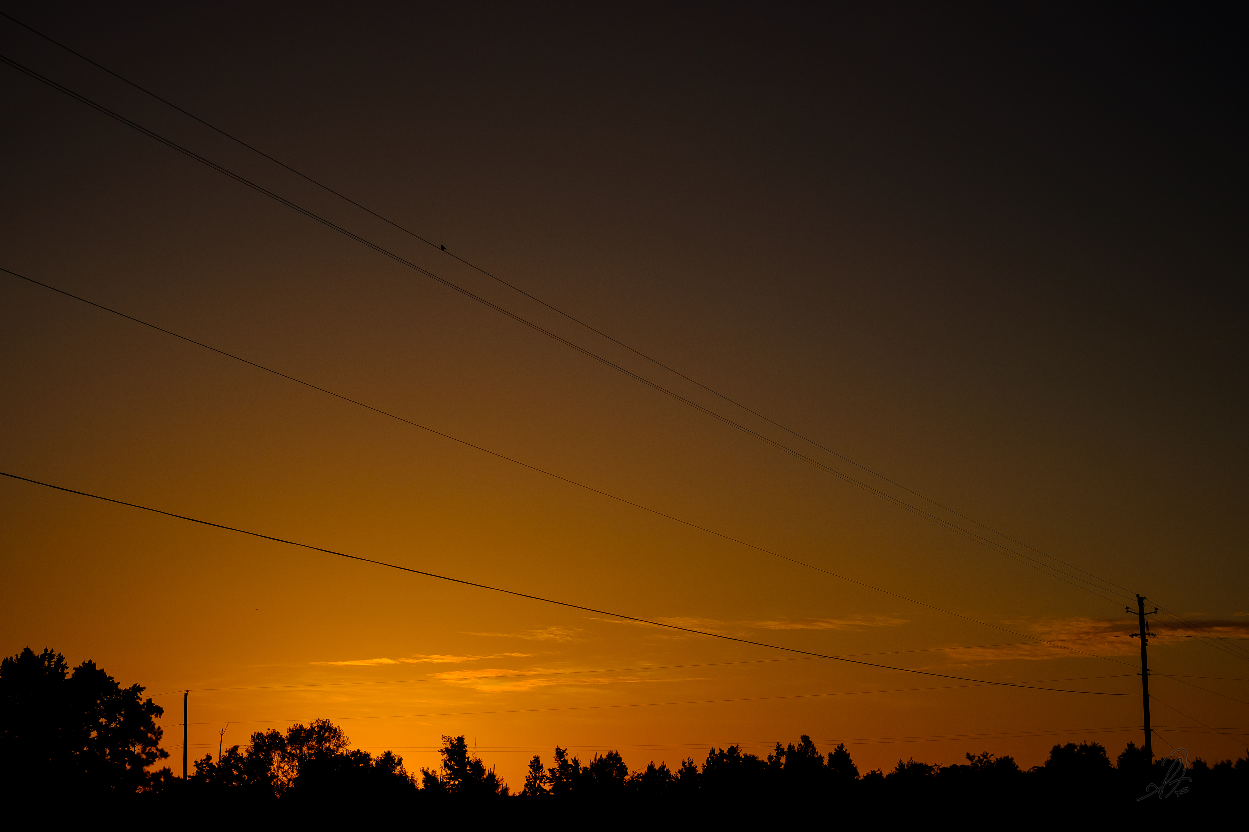 Power Line Sunrise
