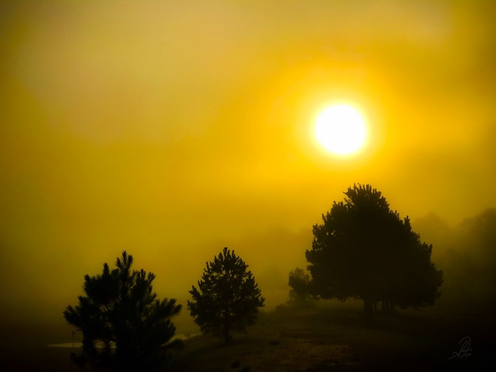 Foggy Sunrise Shot on the iPhone 7 Plus