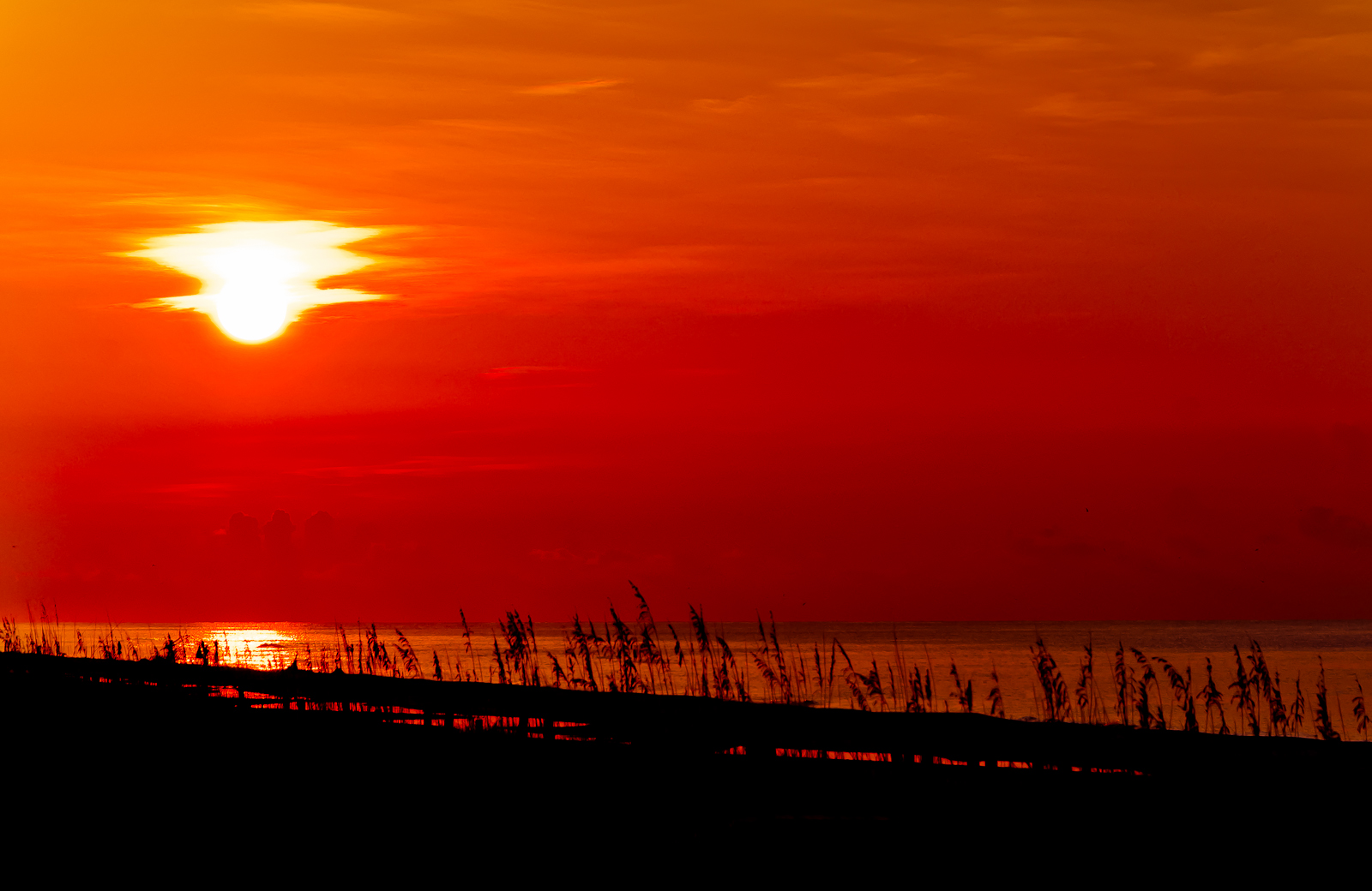 Red Sun Rising Over the Gulf of Mexico